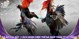da-ga-cua-sat