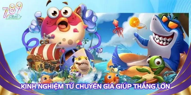 kinh-nghiem-tu-chuyen-gia-giup-thang-lon-compressed